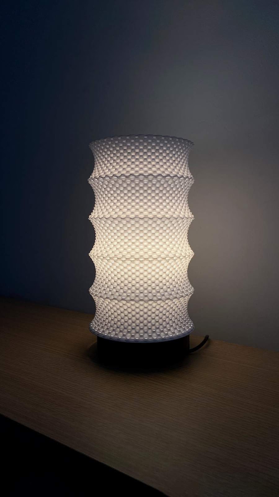 Leo Adaptive Lampshade