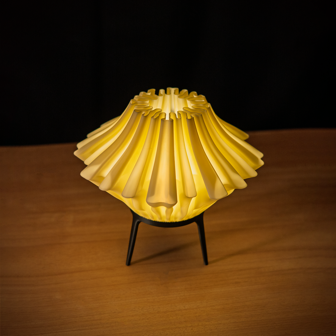 Zoan lampada da tavolo