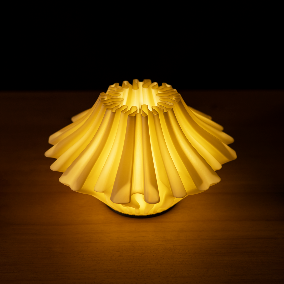 Zoan lampada da tavolo - 2