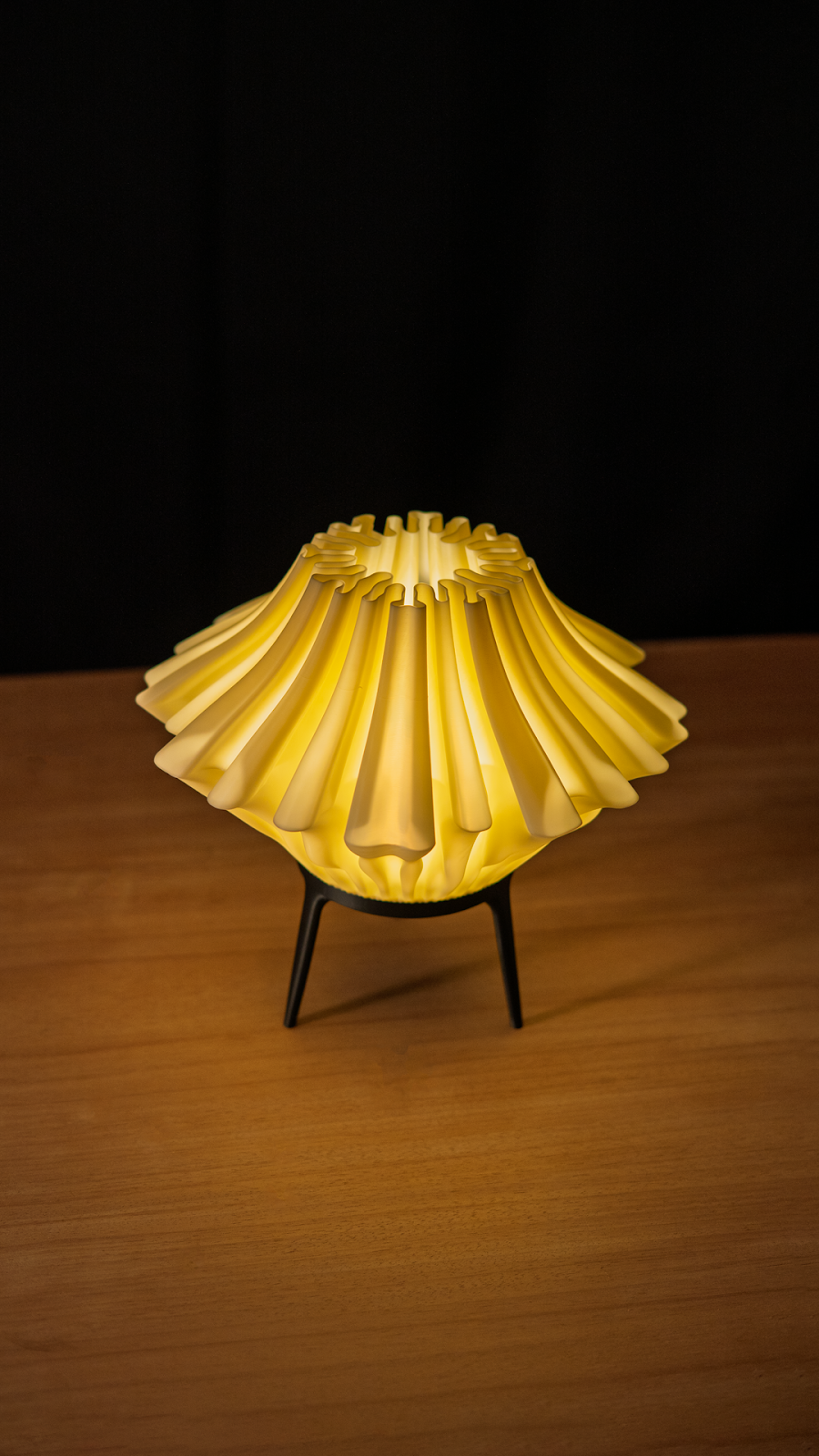 Zoan lampada da tavolo - 11