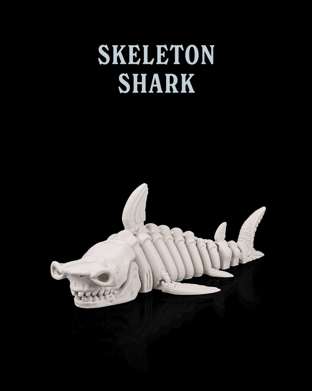 Skeleton Shark